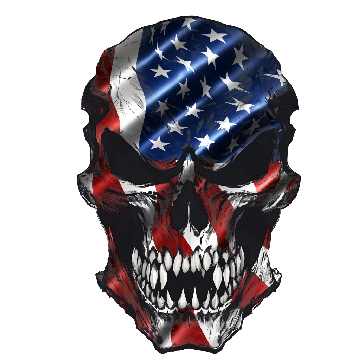 American flag skull